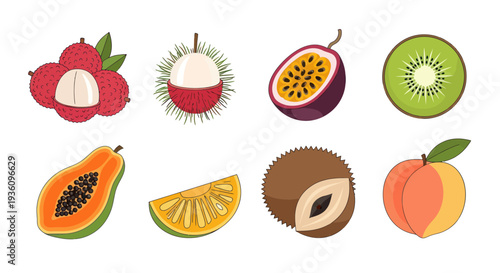 Assorted tropical fruits illustration