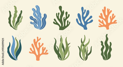Colorful Seaweed Collection