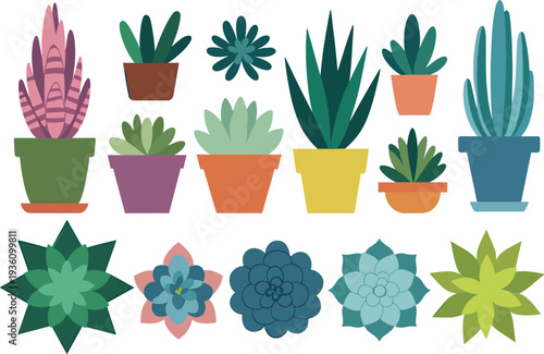 Cartoon illustration of diverse succulent plants in colorful pots and rosettes, showcasing botanical variety, indoor decoration, gardening inspiration, plant art, and creative design concept