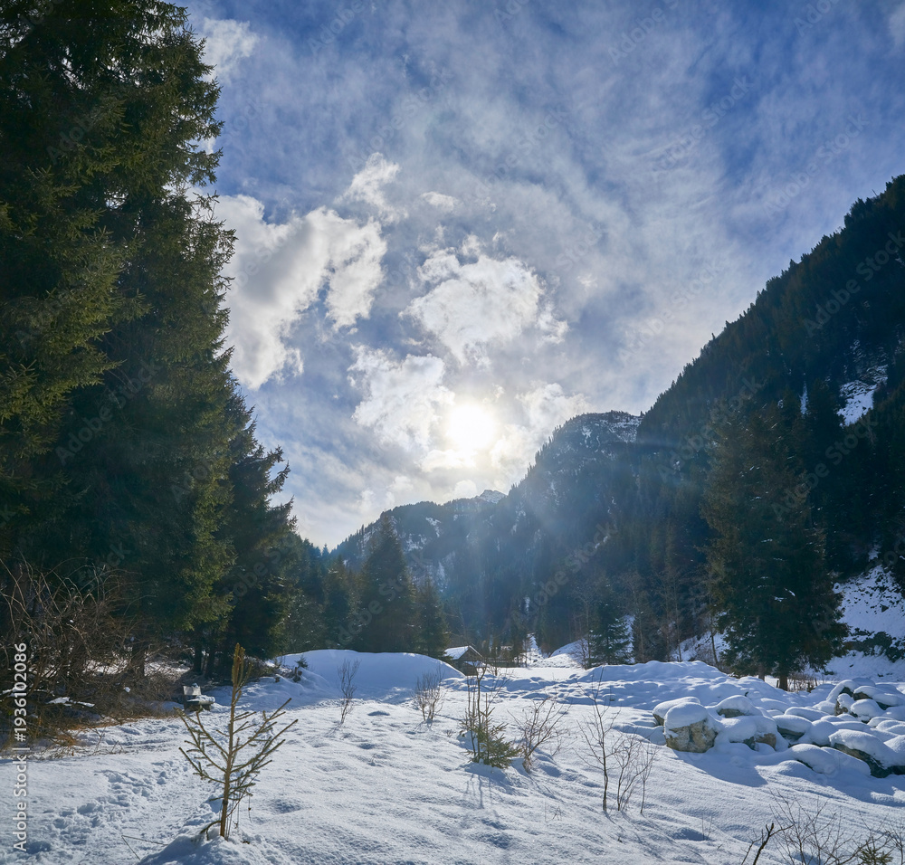 custom made wallpaper toronto digitalBeautiful winter hike in the Hollersbach Valley, in the Salzburg region near Bramberg, Austria.