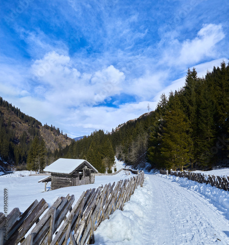 Wallpaper Mural Beautiful winter hike in the Hollersbach Valley, in the Salzburg region near Bramberg, Austria. Torontodigital.ca