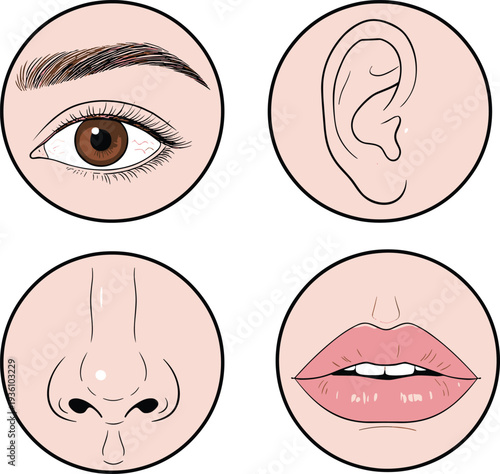 Professional Modern Home Office Workspace with Laptop Computer Green Potted Plant and Coffee Cup on Clean White Desk for Freelance Remote Work Concept