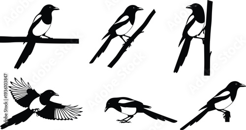 High angle view of a healthy breakfast bowl with fresh berries granola and Greek yogurt on a rustic wooden table in soft morning light