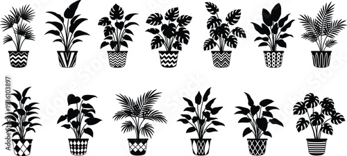 Breathtaking aerial view of a winding road through a lush green pine forest during a misty morning with soft sunlight and mountain background