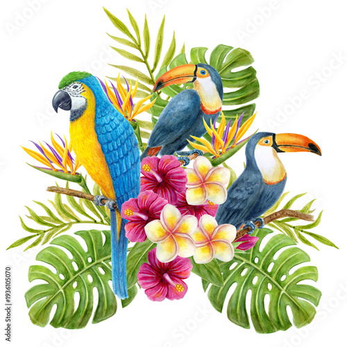 Parrot and toucan with tropical bouquet of hibiscus flowers, frangipani, greenery of monstera leaf and palm fronds. Exotic floral composition, watercolor painting.