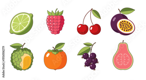 Colorful assortment of fresh fruits illustration