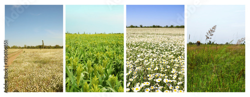 Panel kuchenny z motywem Set of fields under beautiful sky. Nature landscape