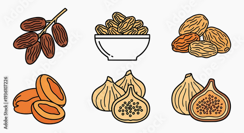 A delightful collection of natural dried fruits, including dates, raisins, apricots, and figs, perfect as healthy snacks or ingredients, presented in a clean, modern line art icon style