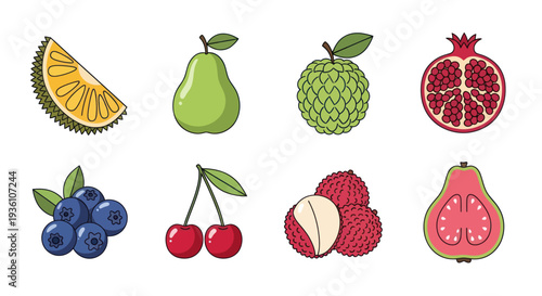 Colorful fruits collection illustration