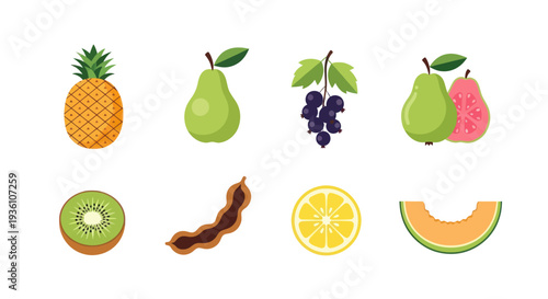 Colorful fruits collection illustration