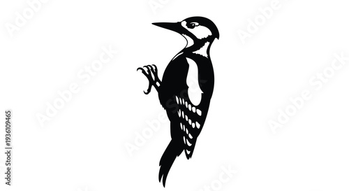 A striking black and white woodpecker illustration a beautiful silhouette