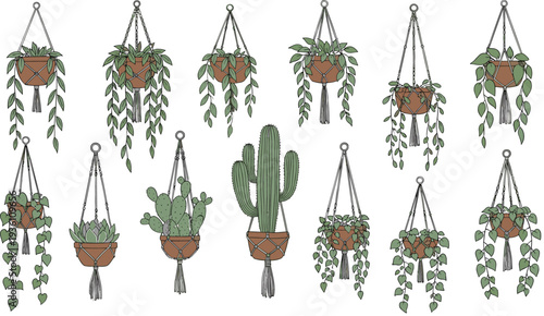 Hanging indoor plants vector set featuring macrame planters with trailing ivy string of hearts succulent and green cactus for home decor and garden design.