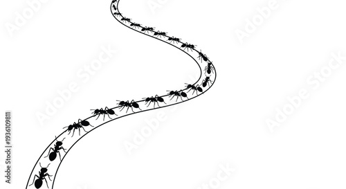A winding line of ants follows a path stark black silhouette
