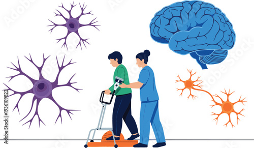 Neurology medical vector illustration featuring human brain anatomy with neuron cells and a caregiver assisting a patient with a walker for rehabilitation.