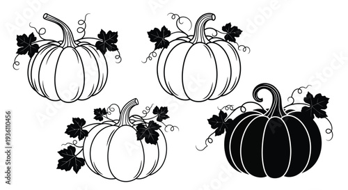 Three pumpkins with vines and leaves a dark outline silhouette