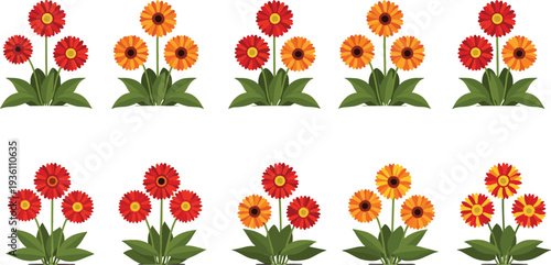 Tropical flower vector set featuring ten colorful red and orange gerbera daisy illustrations with green leaves for spring nature garden and floral design.
