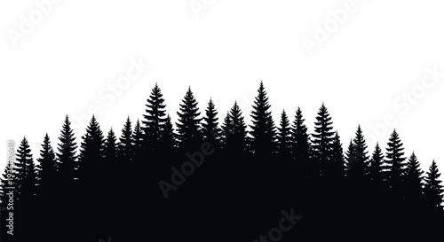 Dark forest of coniferous trees against a bright white background silhouette