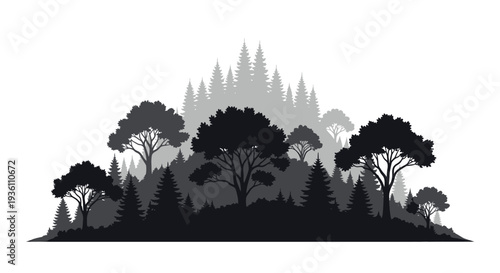 Dark forest landscape with layered trees in striking silhouette
