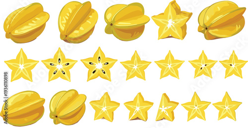 Tropical starfruit vector set featuring whole carambola fruits and sliced star shaped pieces for healthy food nature exotic summer and grocery design.