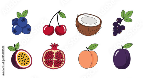 Illustrated fruit collection on white background