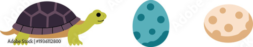 Cute turtle and eggs illustration set, cartoon reptile character with spotted and cracked eggs isolated on light background