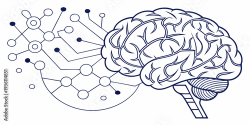 The intricate connection between the human brain and neural networks in technology
