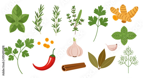 Fresh herbs and spices collection illustration