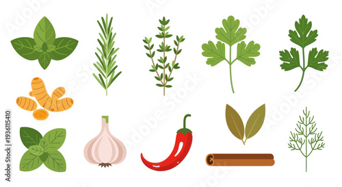 Fresh herbs and spices collection