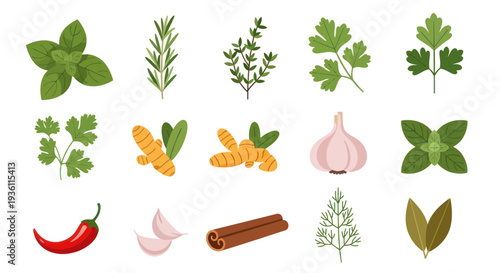 Fresh herbs and spices collection isolated