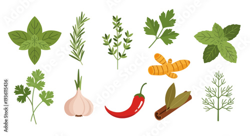 Fresh herbs and spices collection