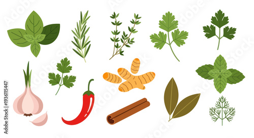 Fresh herbs and spices on white background