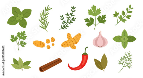 Fresh herbs and spices on white background