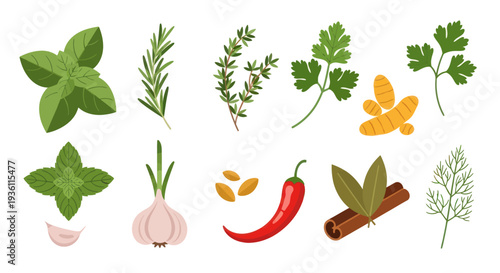 Fresh herbs and spices on white