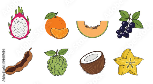 Variety of colorful tropical fruits