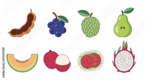 Variety of fresh fruits in vector illustration