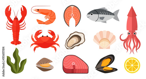 Variety of seafood illustrations