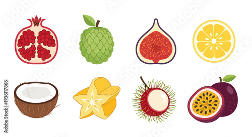 Various colorful fruit illustrations isolated