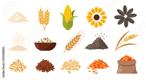 Various grains and seeds isolated on white