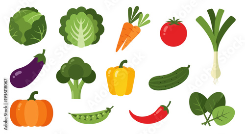 Vegetable assortment fresh produce illustration
