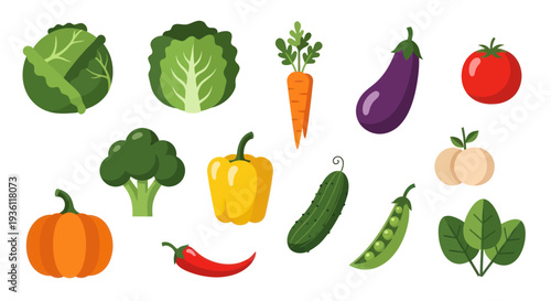 Vegetables illustration on white background