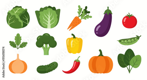Vegetable collection on white background