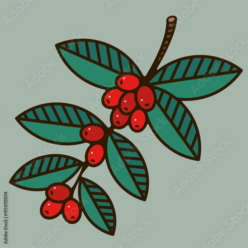 Flat illustration of coffee berries. Red berries and leaves on a branch.