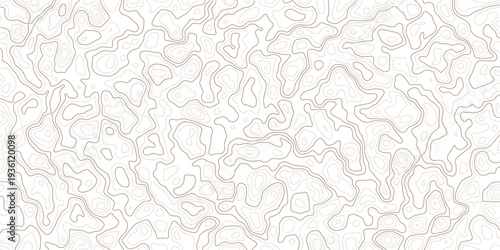 Abstract topographic map illustration with wavy beige lines on white background