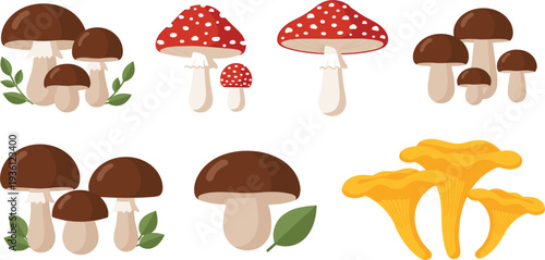 Cute Cartoon Mushroom Collection with Toadstool, Amanita, Porcini and Chanterelle Illustrations Isolated for Autumn Nature Design, Woodland Decor, and Kids Graphics