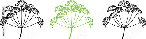Set of fresh dill herb sprigs featuring aromatic green leaves in flat color and black silhouette styles for cooking.