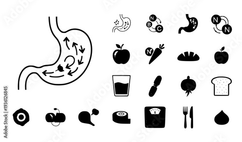 A set of black and white vector icons illustrating digestive health and nutrition