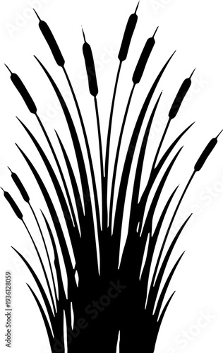 Black silhouette of cattail plants and reeds on white background