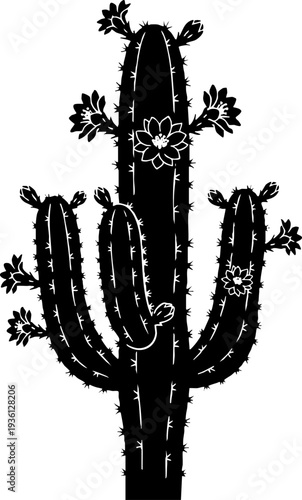 Black silhouette of a flowering cactus isolated on white