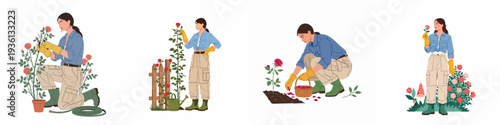 Woman Gardening Roses: A Collection of Scenes Depicting Pruning, Planting, and Caring for a Beautiful Rose Garden.