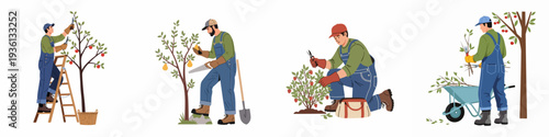 Illustrations of Gardeners Caring for Fruit Trees and Bushes: Pruning, Trimming, and Garden Cleanup Tasks